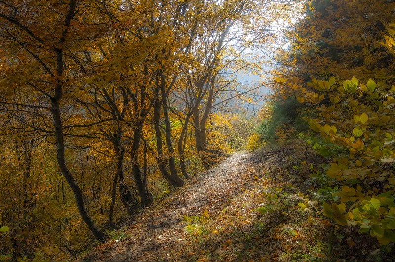 пейзаж Тропинка к... фото превью