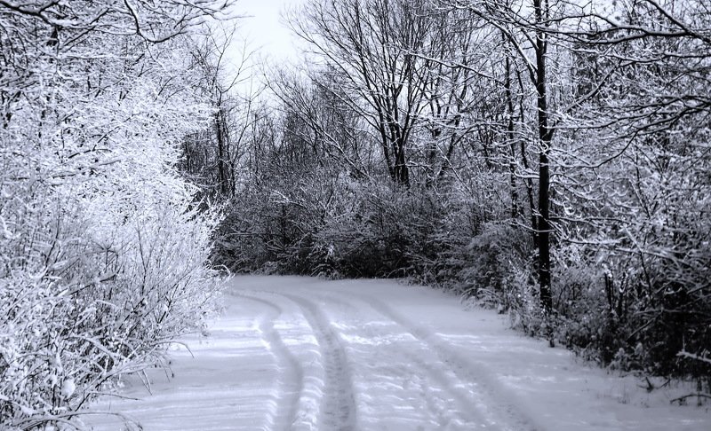 Ура! Зима! Снег выпал... фото превью