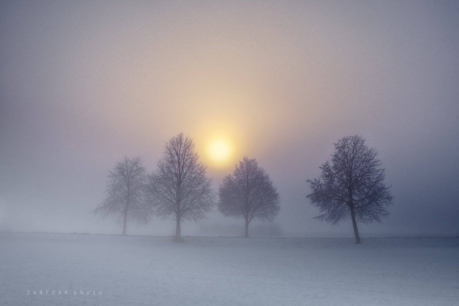 мороз, утро,zanfoar,cech republic,bohemia,moravia,nikon d750,чехия,  Zanfoar