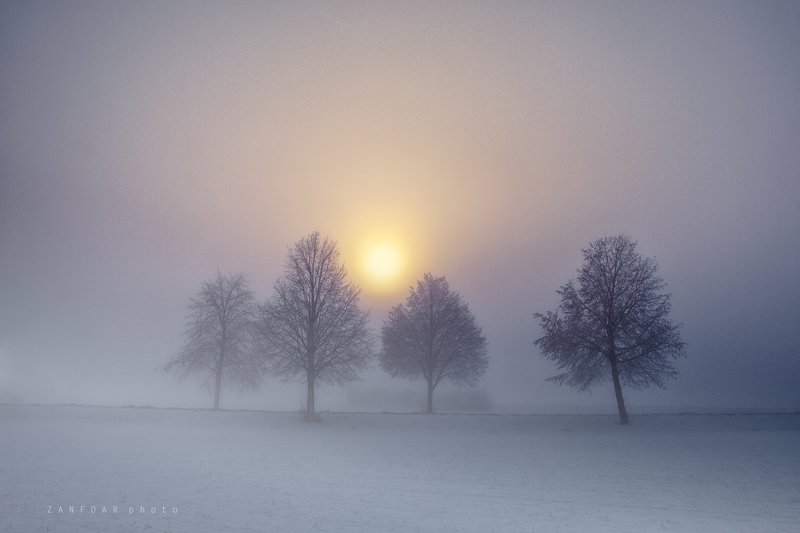мороз, утро,zanfoar,cech republic,bohemia,moravia,nikon d750,чехия морозное утро фото превью