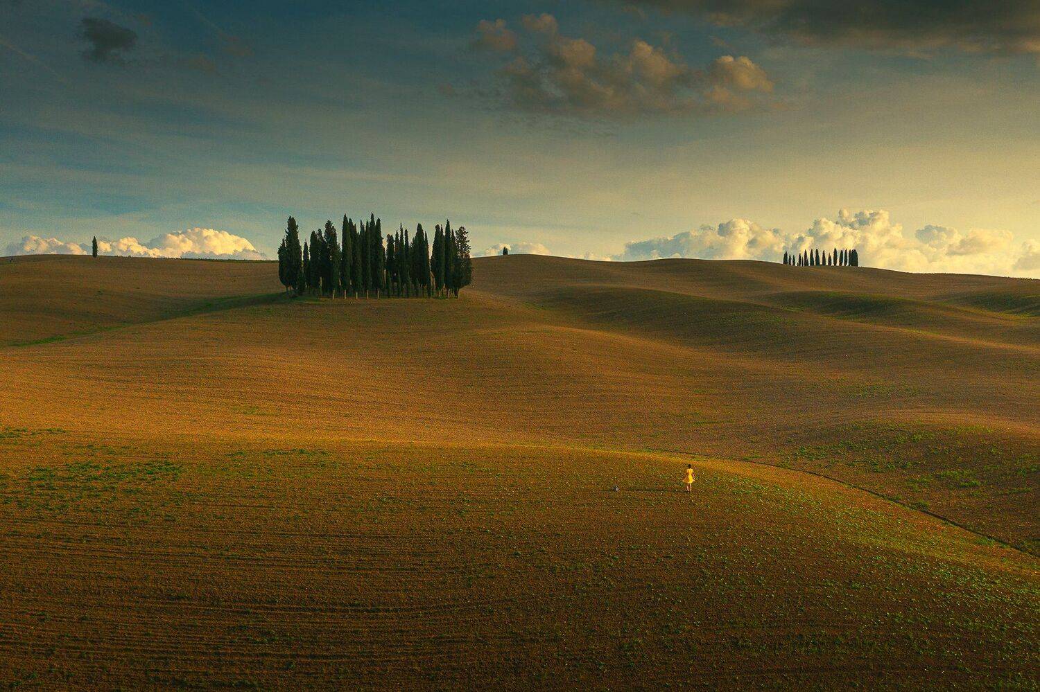 , Marek Biegalski