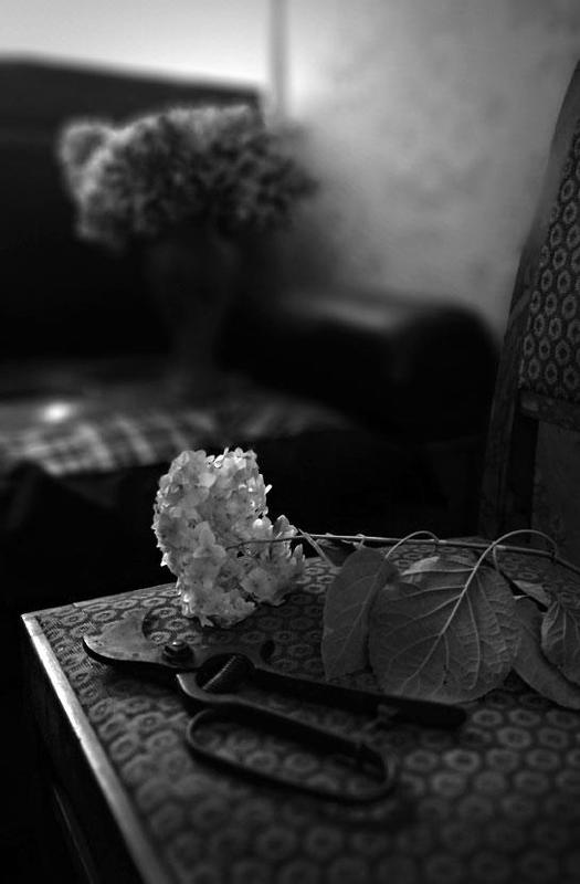 ... фото превью