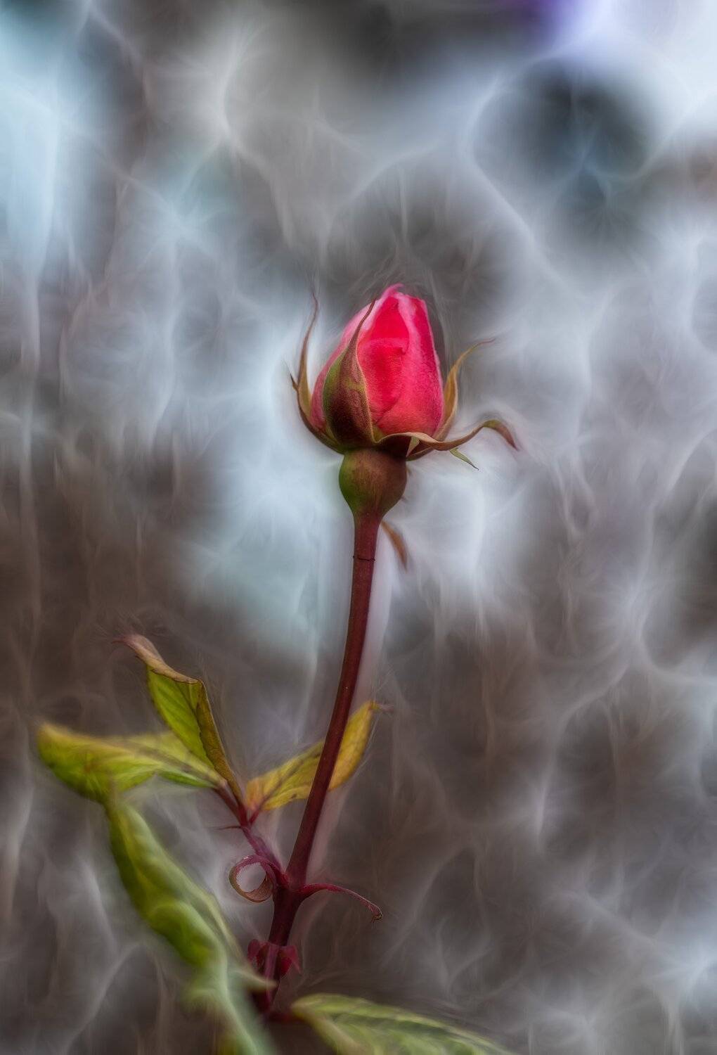 , Александр Земляной