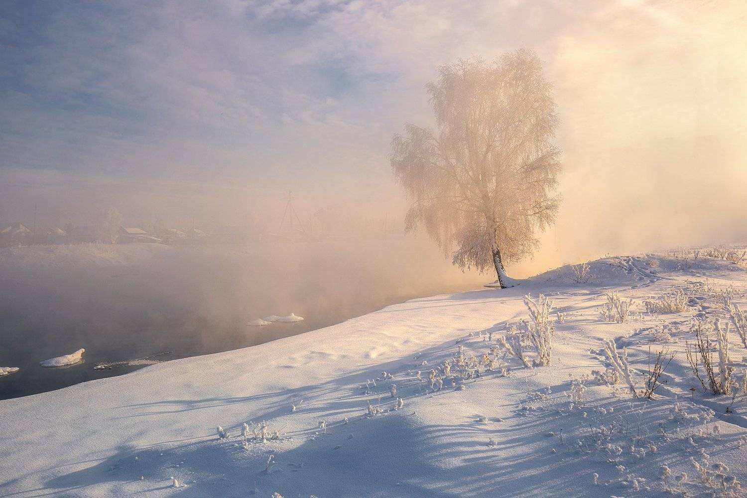 , Андрей Базанов