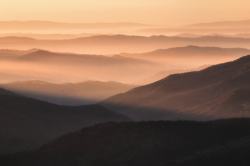 Golden rays фото превью