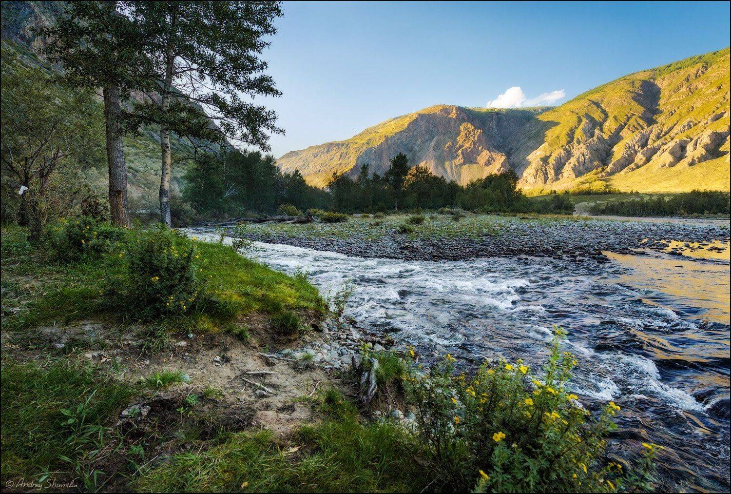 , Андрей Шумилин