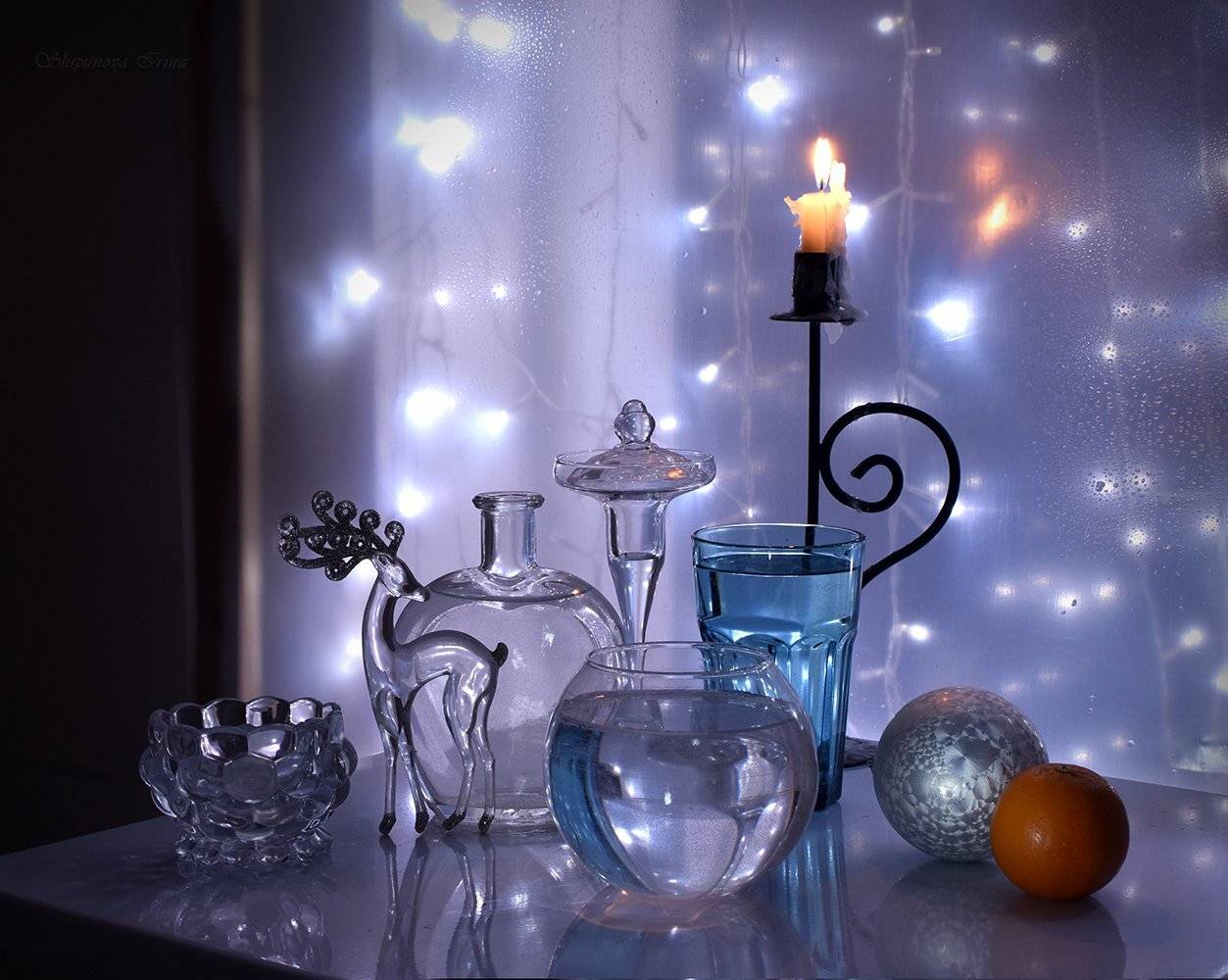 , Шипунова Ирина