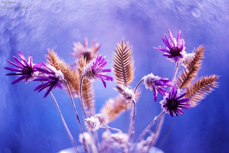 Совсем не зимнее настроение... фото превью