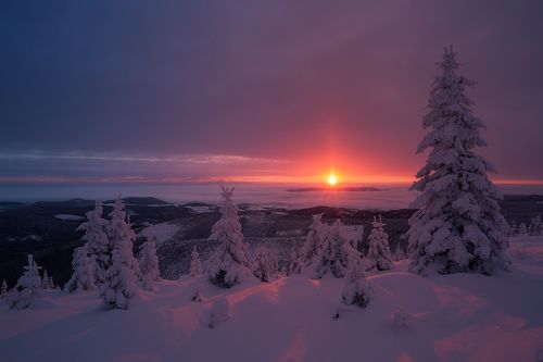 Sun Pillar II
