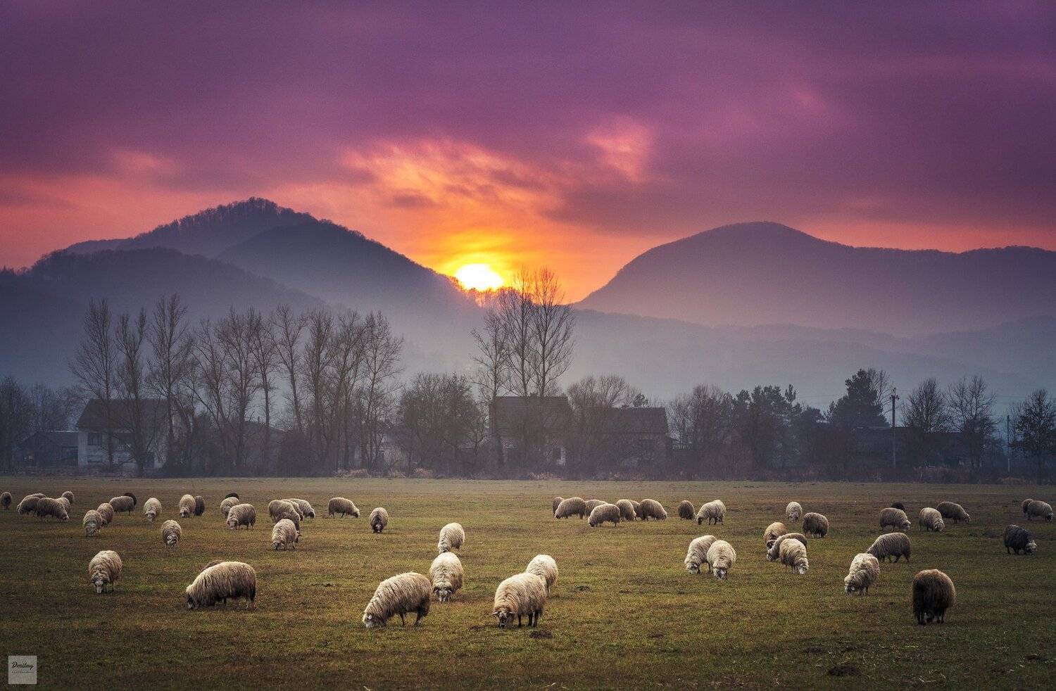 карпаты, Дмитрий Иванов