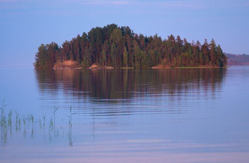 Розовый вечер