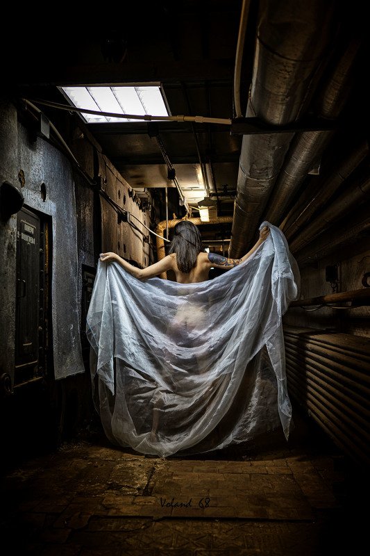 девушка, нюарт, портрет, студия Анастейжа фото превью