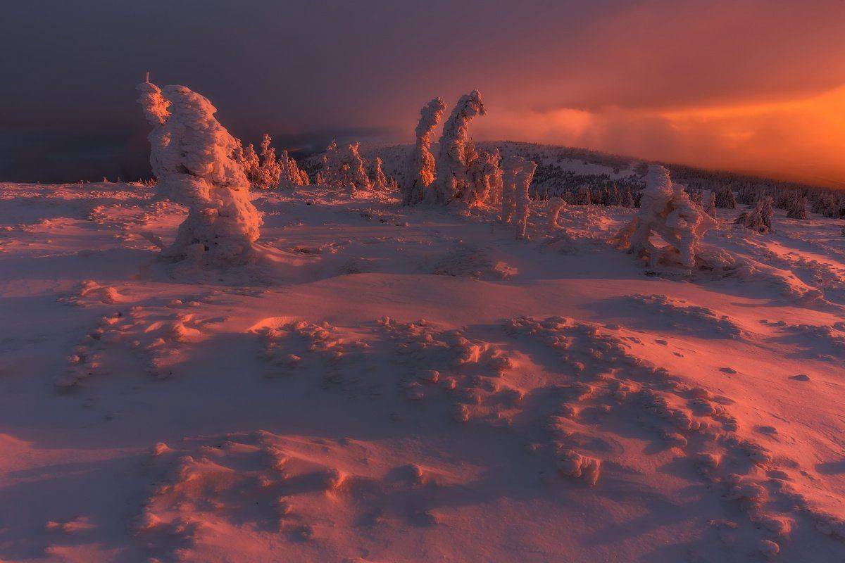 landscape, tree, sunrise, panorama, fog, Petr Fiala