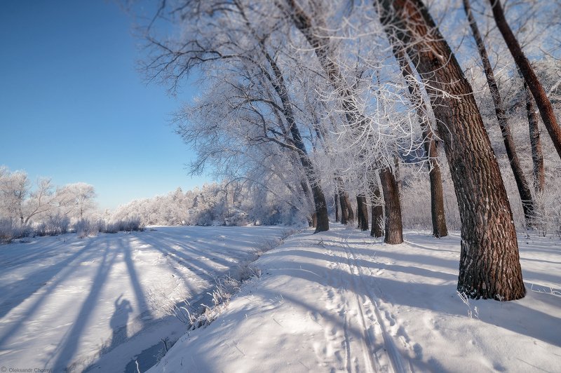 украина, коростышев, природа, река, тетерев, зима, снег, мороз, тень, силуэт, полесье, тишина, небо, уединение, гармония, счастье, жизнь, воздух, чистый, вдохновение, волшебство, деревья, просторы, любовь, фотограф, чорный, Сходятся, расходятся, сплетаются тени... фото превью