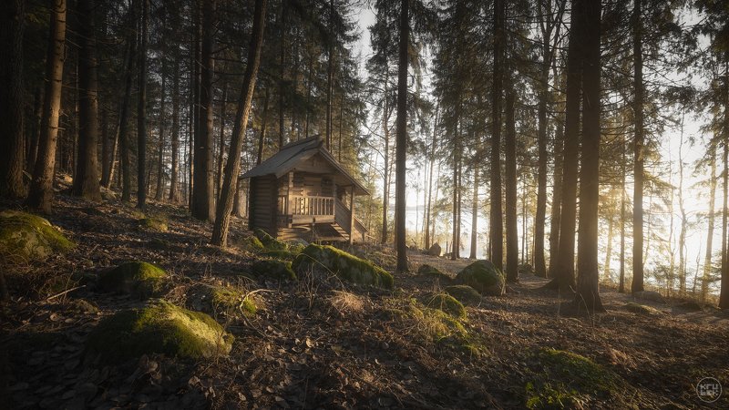 карелия, лес, кирьявалахти Карельские сказки фото превью