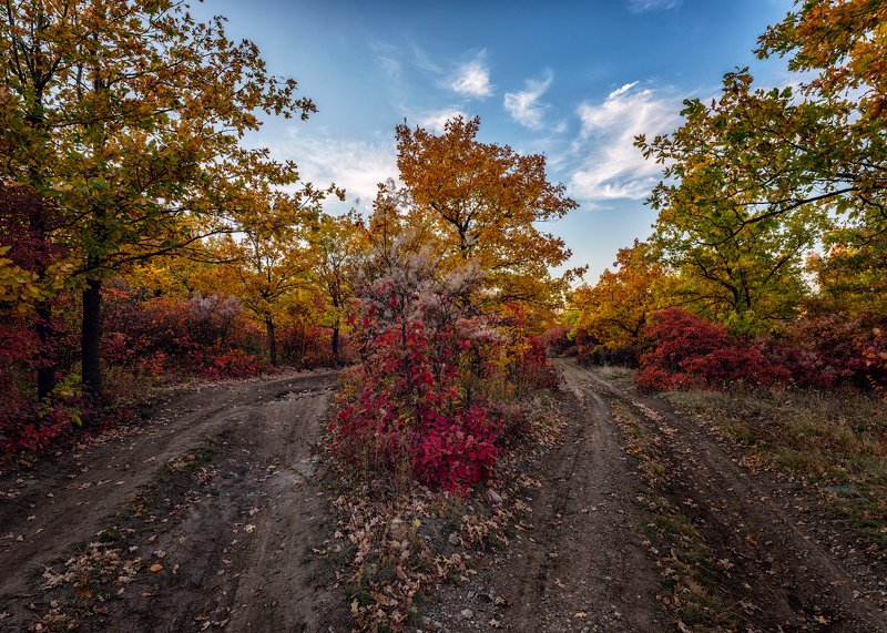 донбасс, осень, природа, деревья, облака, шахта, Донбасс осенний фото превью