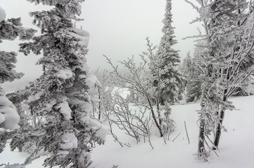 Pro фактурный Шерегеш