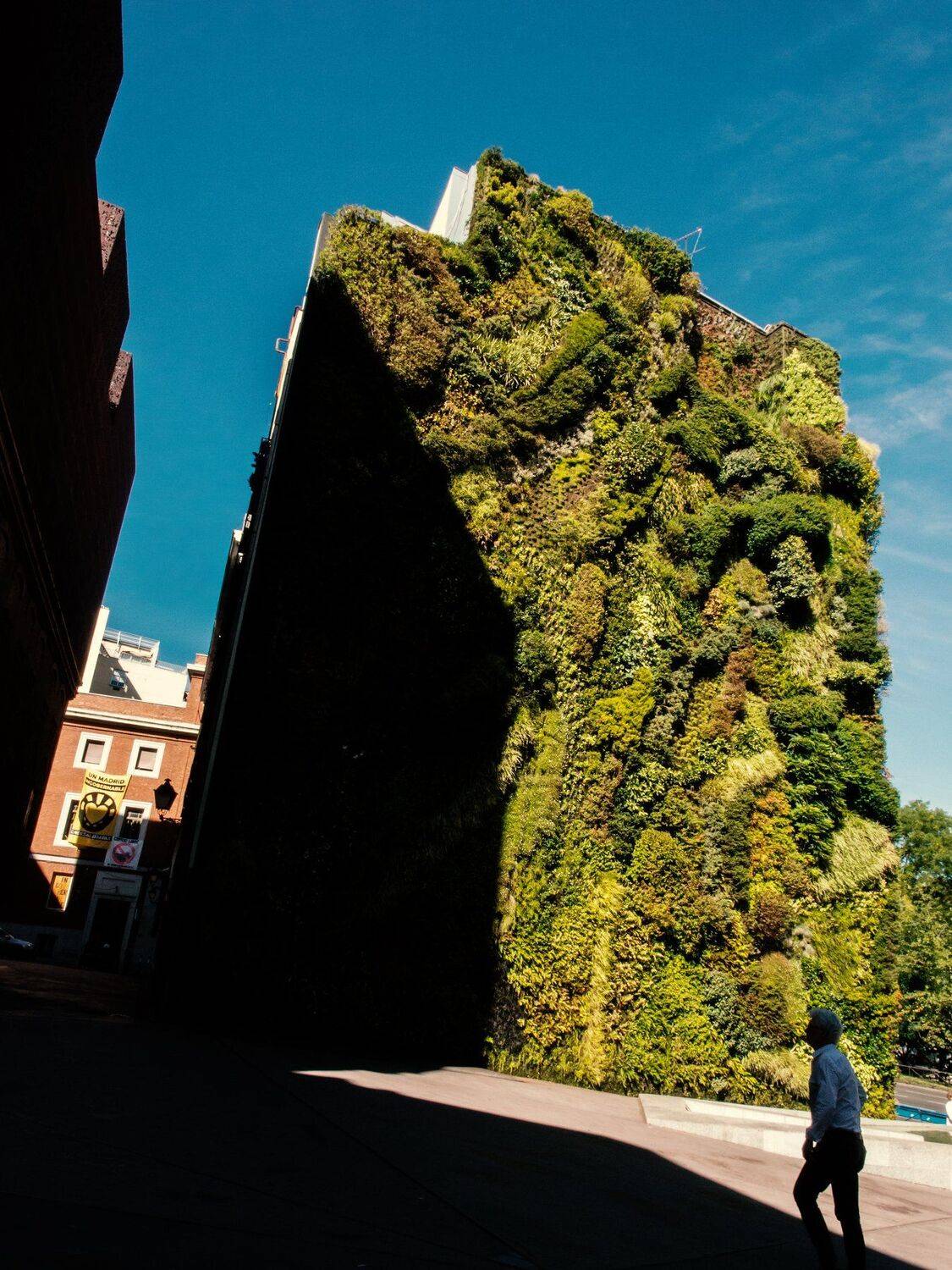 , Ольга Беккер