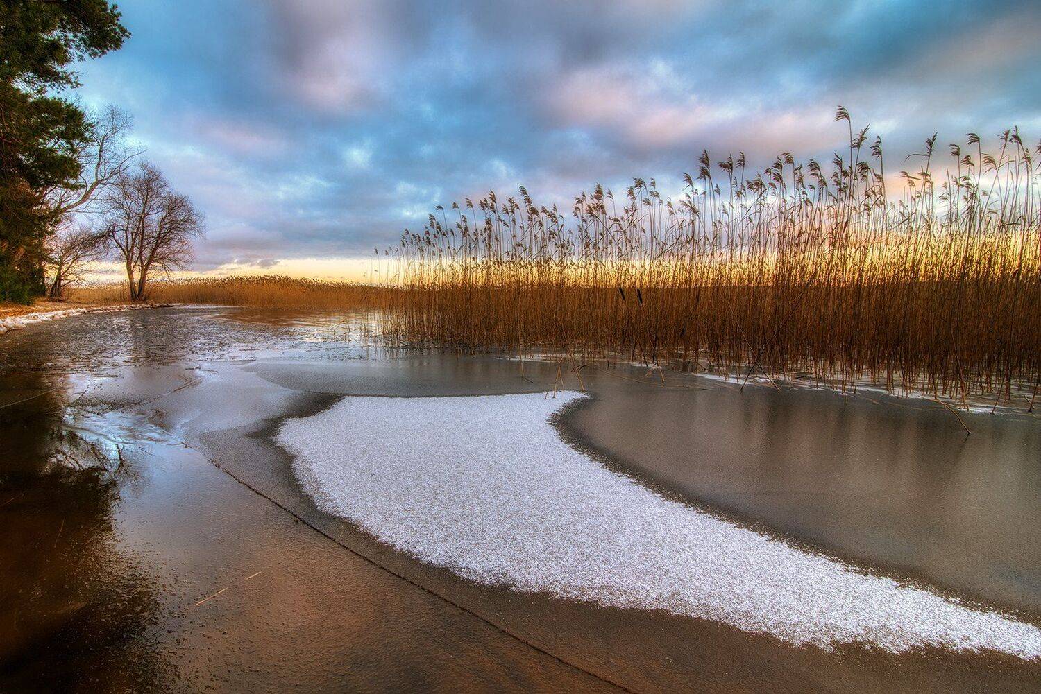 , Федотов Антон