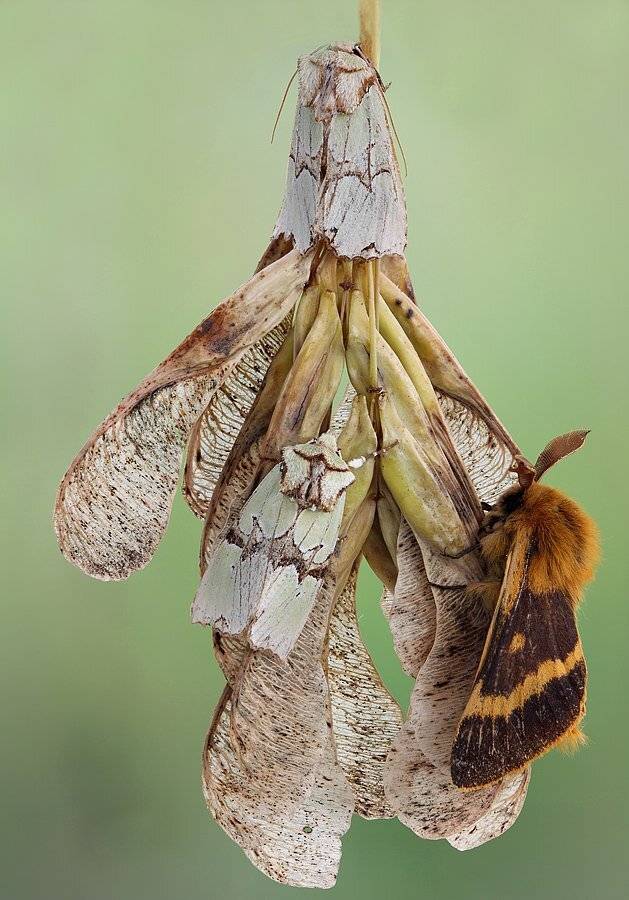 , Сергей Таланов