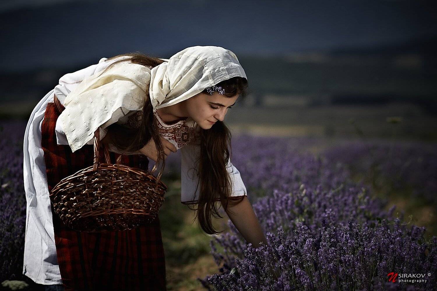 lavender, picker, fields, landscape, portrait, genre, bulgaria, dress, nsirakov, Nikolay Sirakov