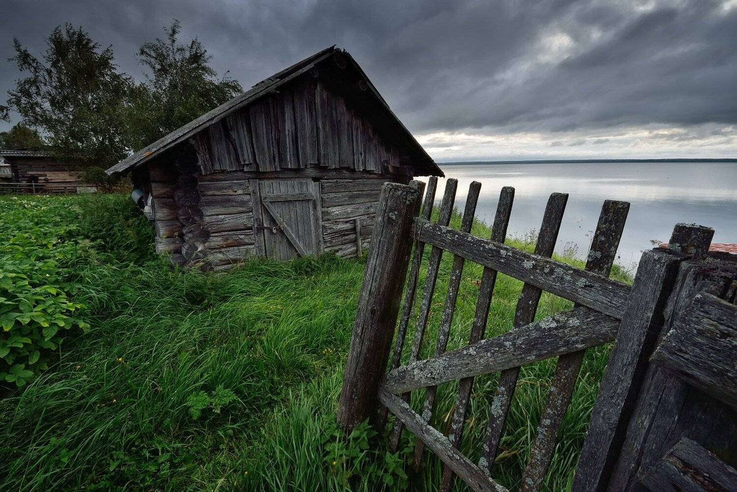, Максим Евдокимов