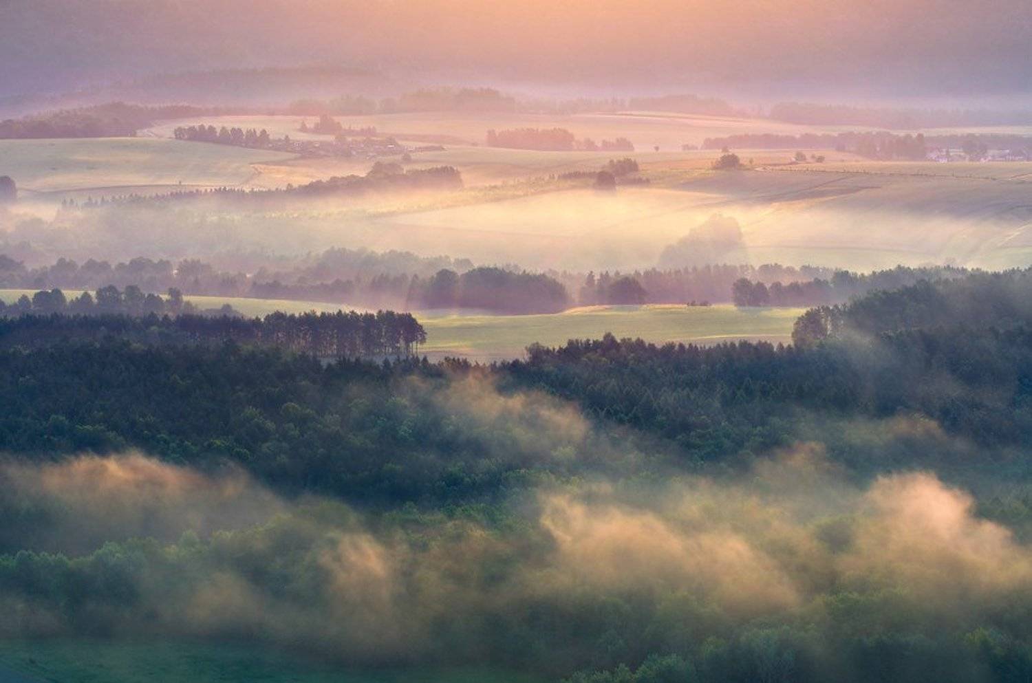 , Дмитрий Бойко