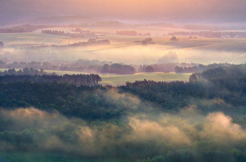 Саксония фото превью