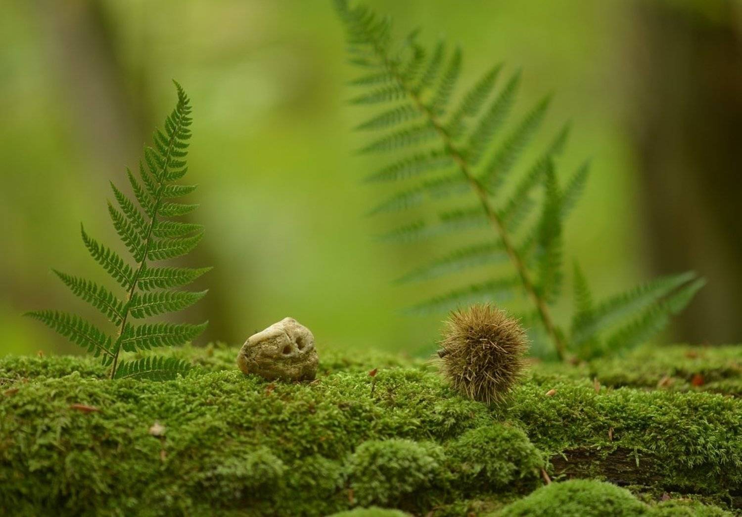 , Александр Юкарев