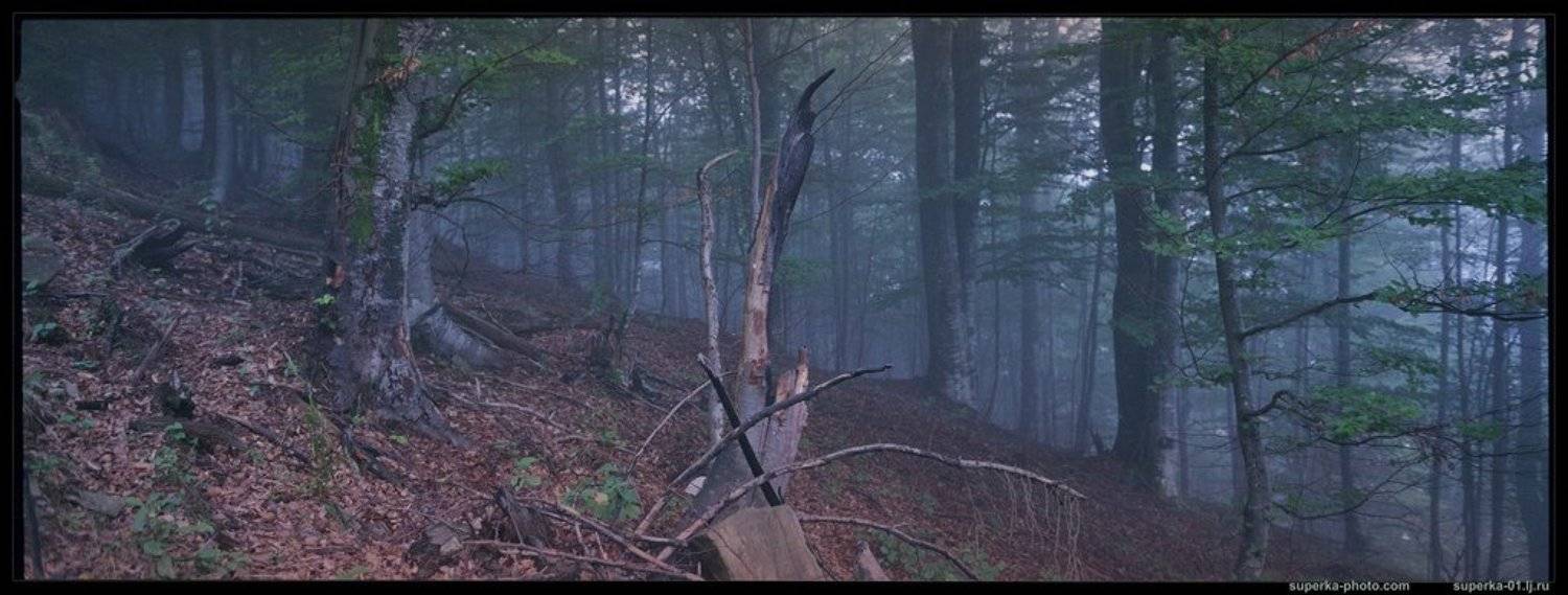 , Павел Супрун