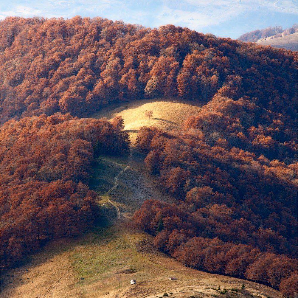 , Андрій Плясун