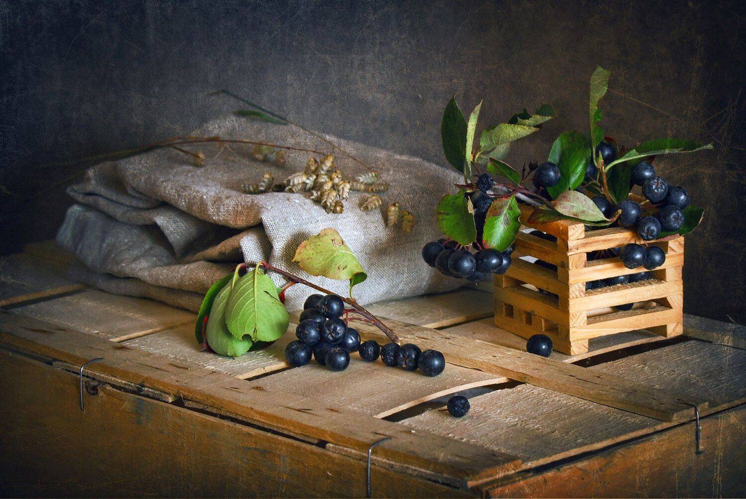 натюрморты, рябина, светлана голицына