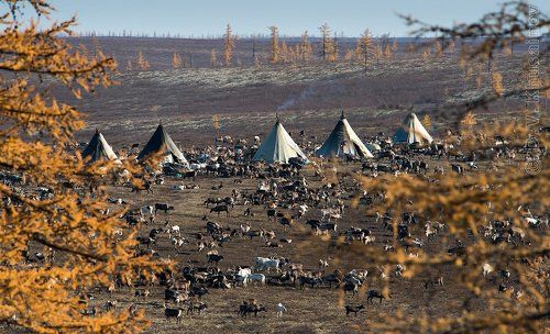 северная осень