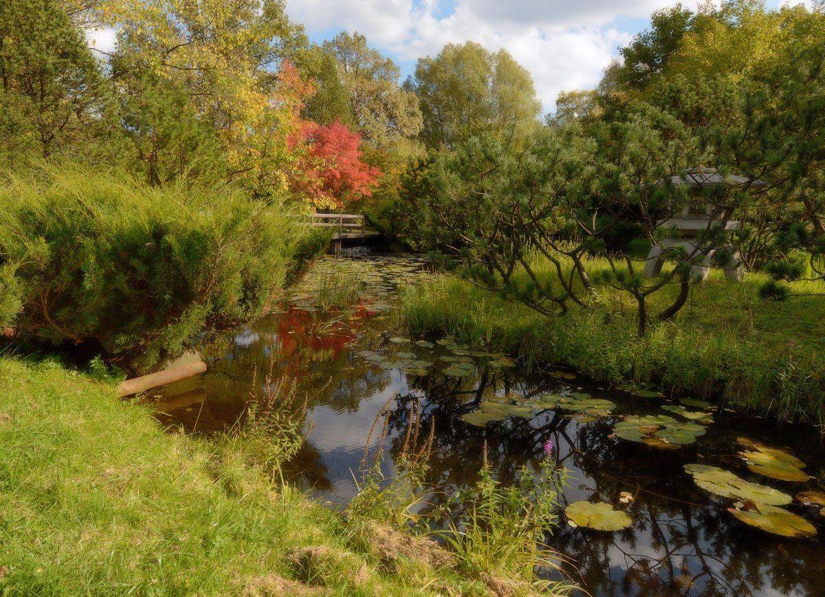 , Сергей Седов