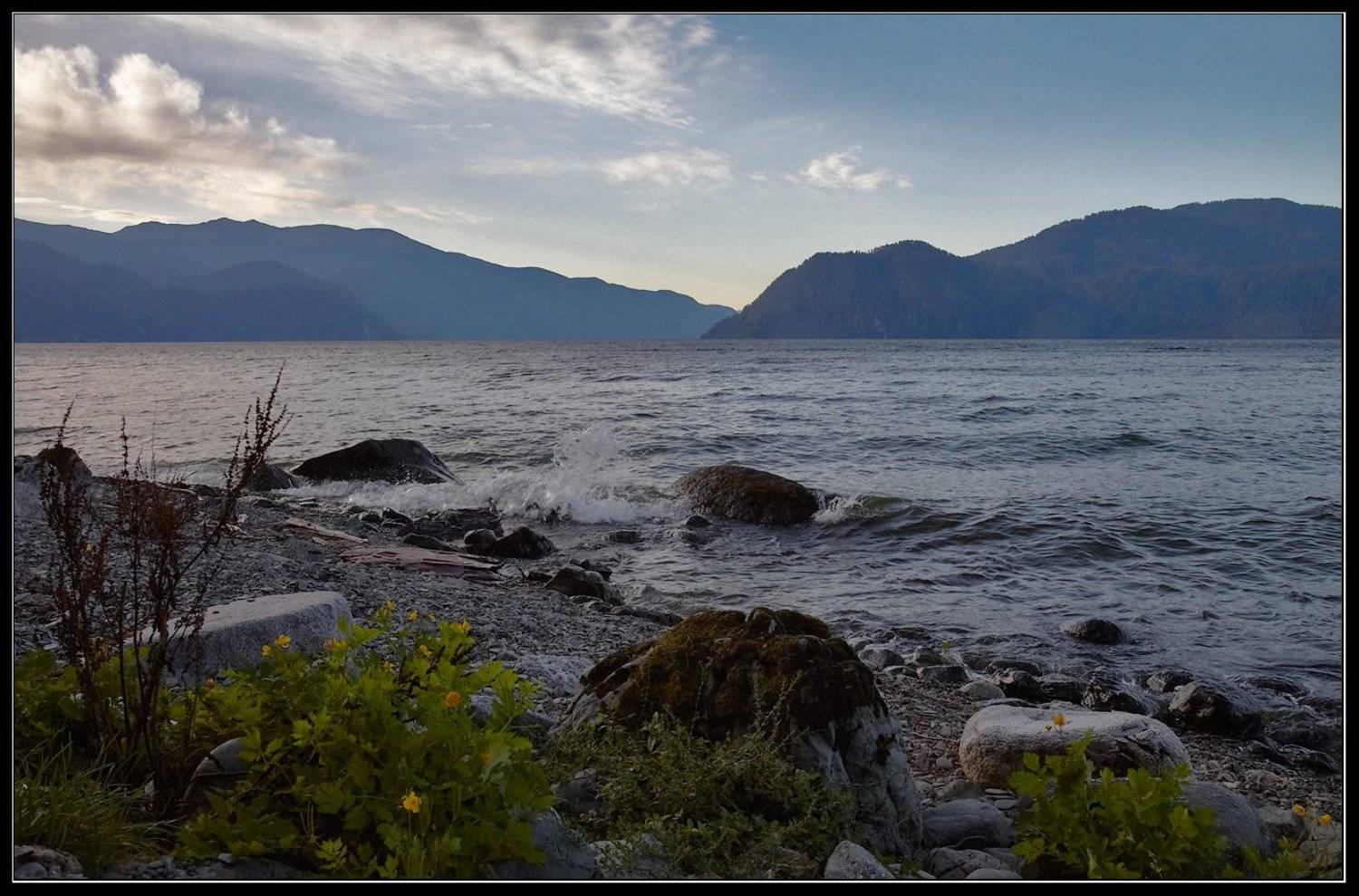 , Юрий Фролов