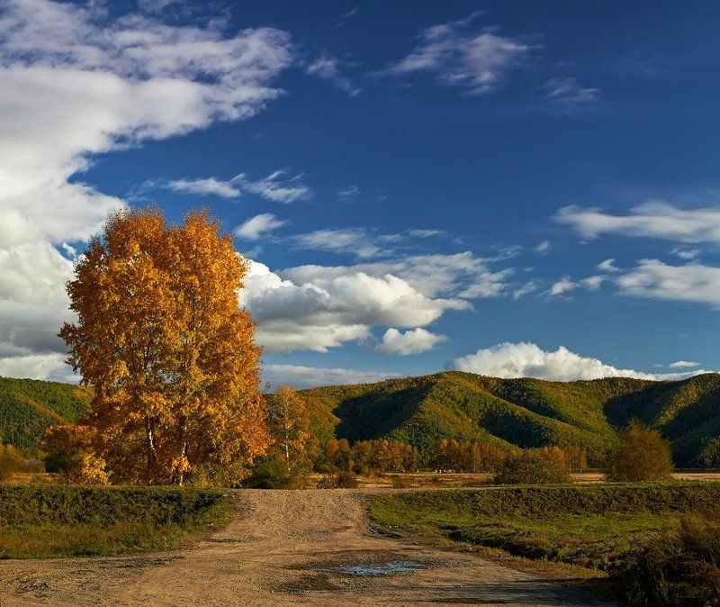 * * * фото превью