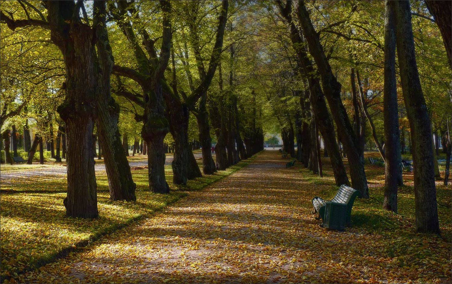 , Ольга Хлуднева