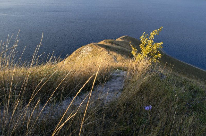 хотинский природный парк, украина, днестр  фото превью