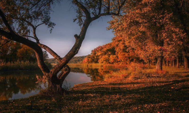 Нарисовать Осень фото превью