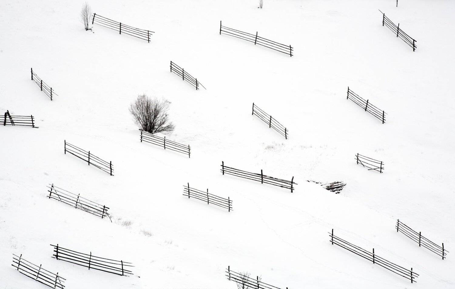 , Андрій Плясун