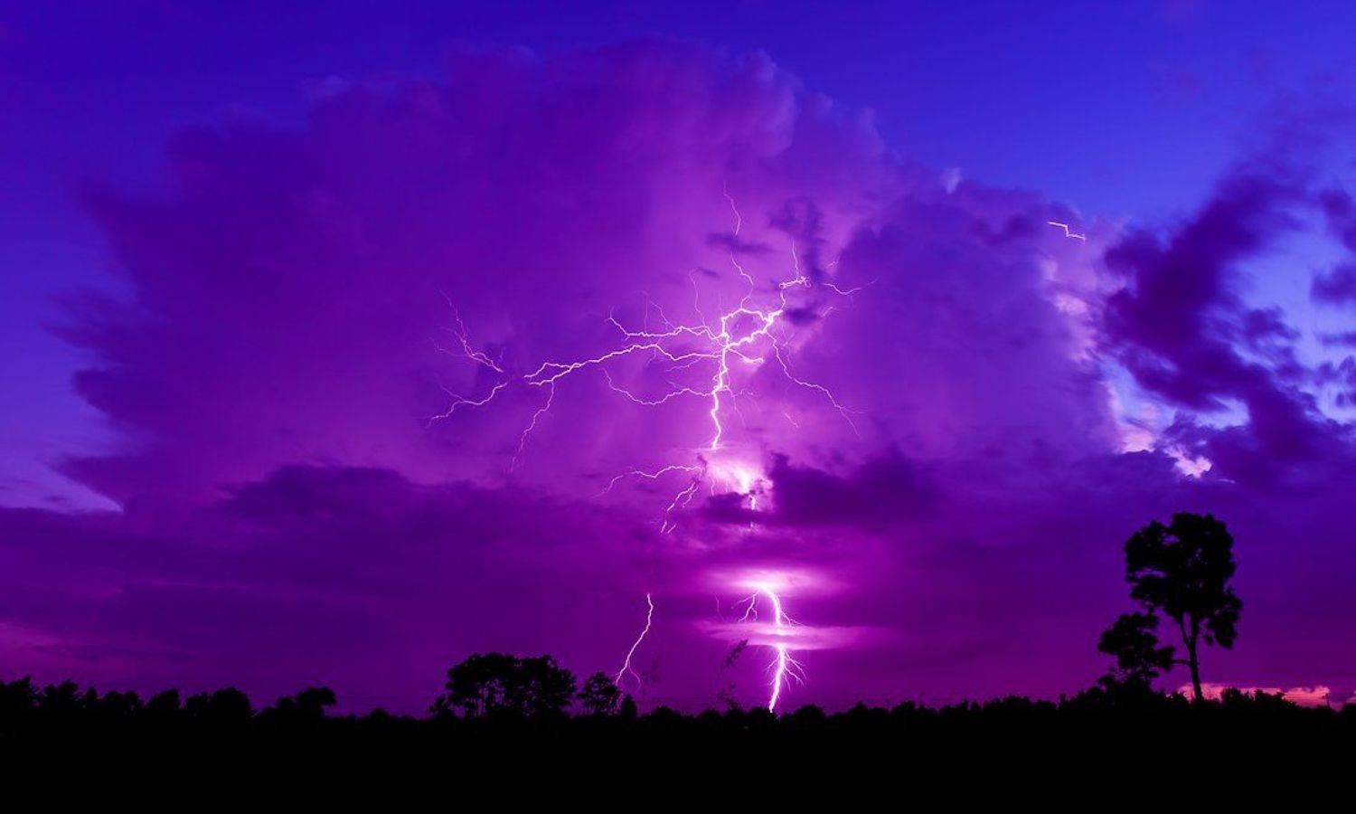 , Илья Таран