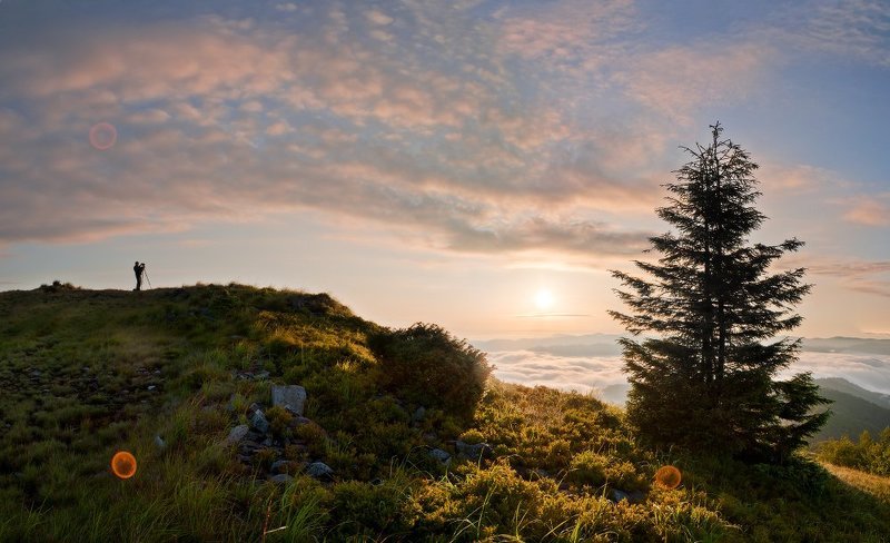 Песня про зайцев фото превью