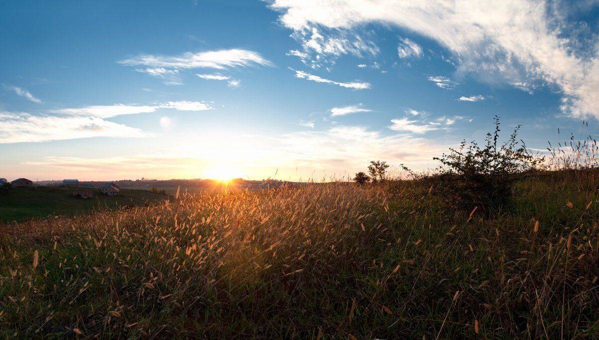 , Полищук И.В.