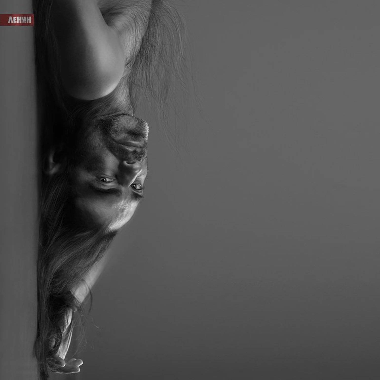 popoff, lenin, ленин, &copy; ЛЕНИН