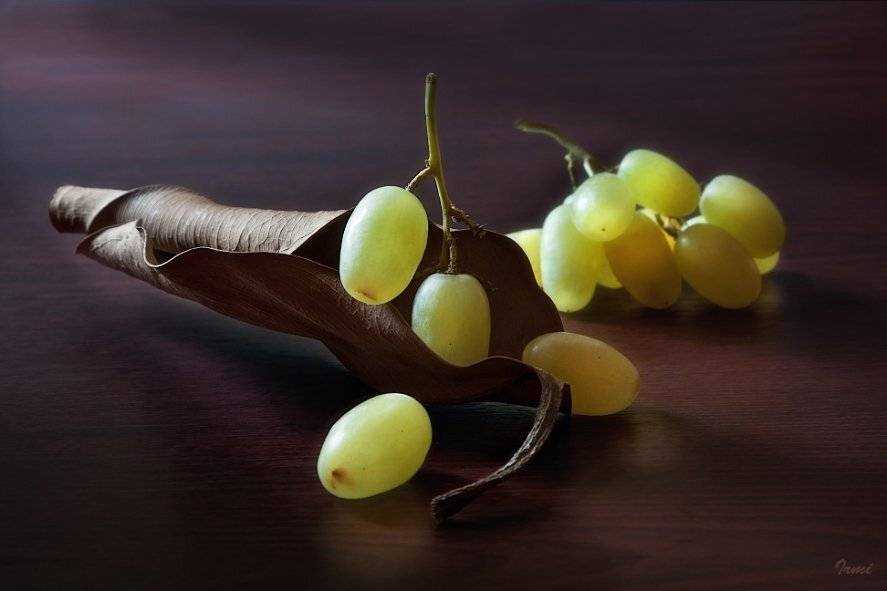 , Юрий Юшваев