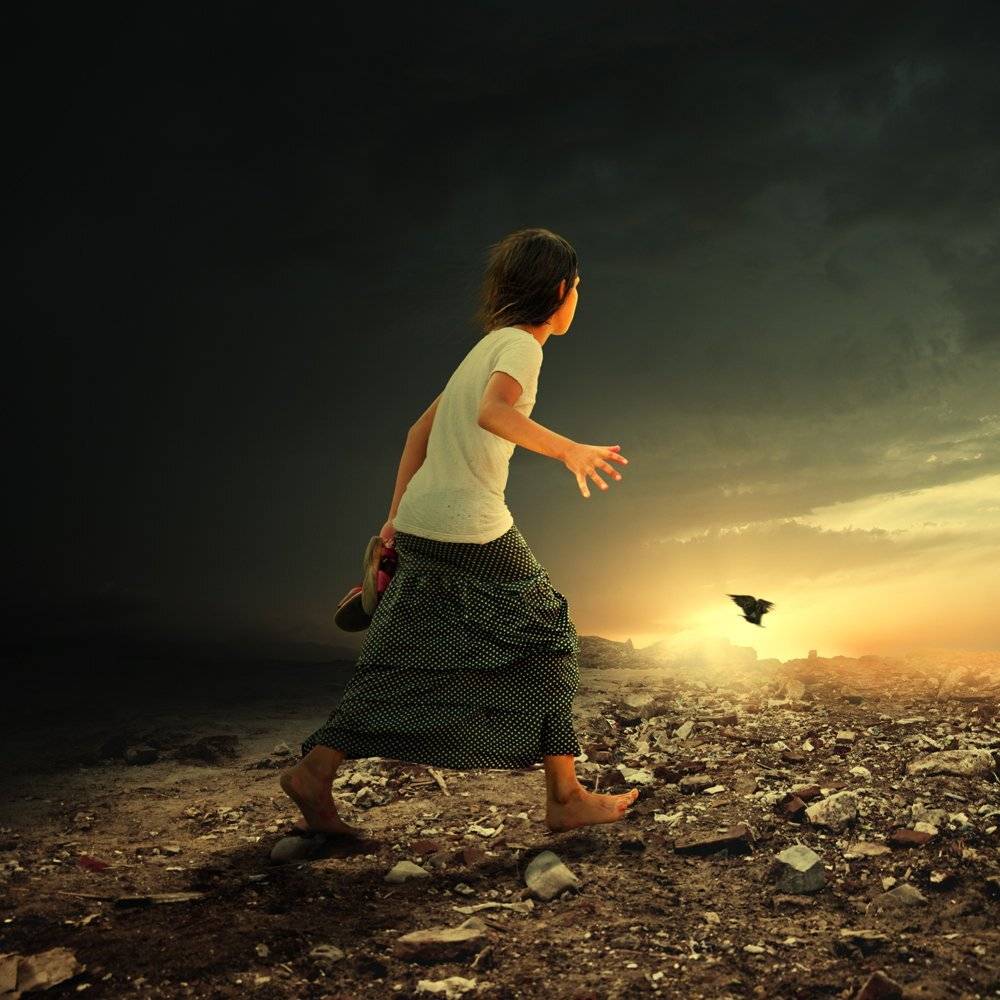 The pink butterfly from my head. Автор: Caras Ionut , Caras Ionut