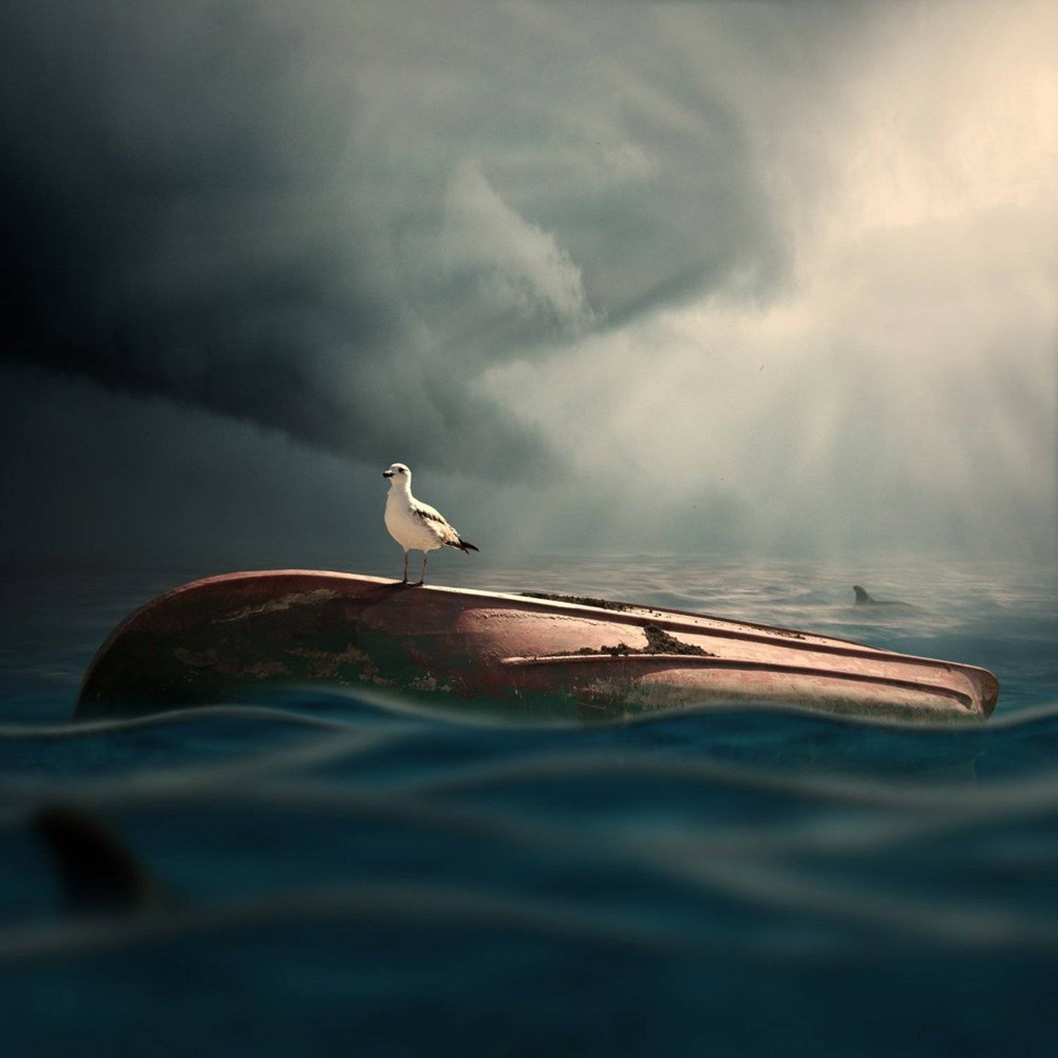 , Caras Ionut