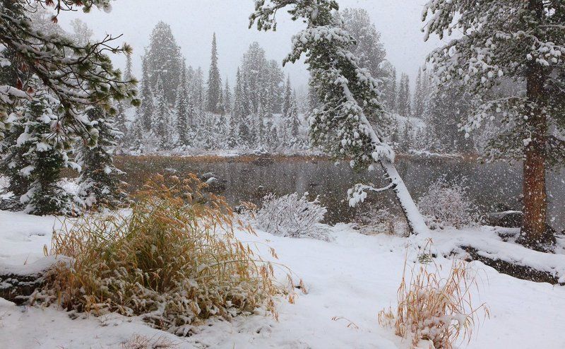 Сибирский сентябрь фото превью