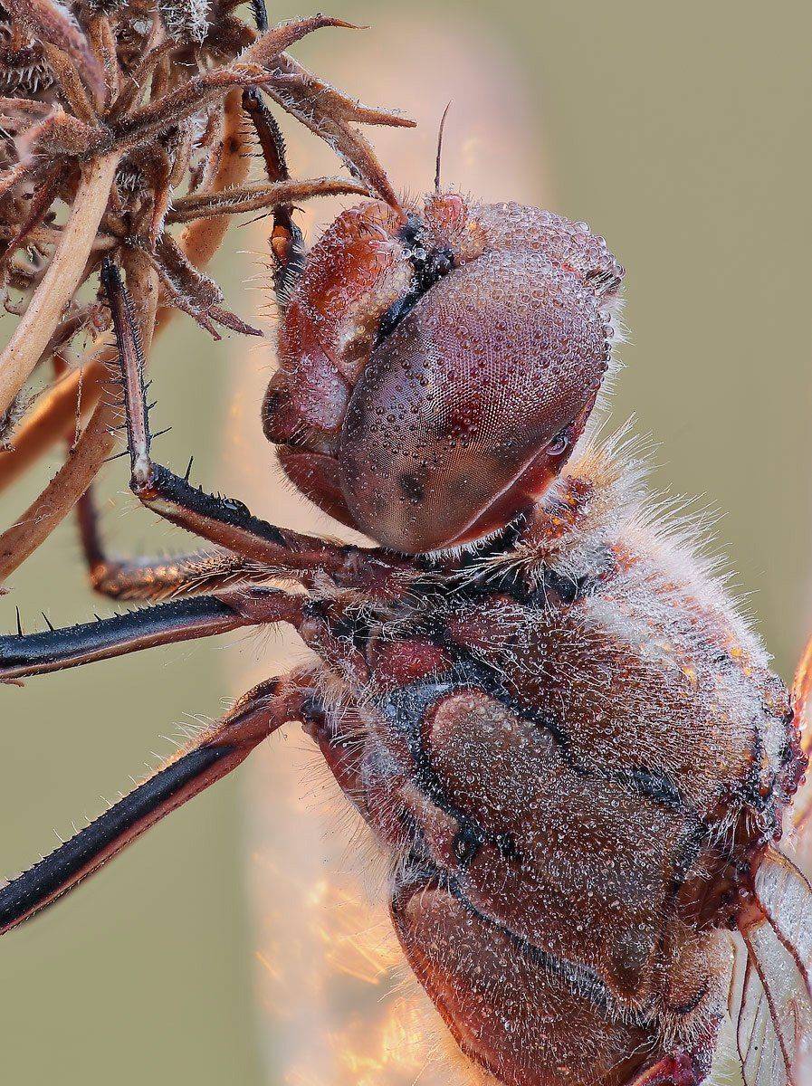 , Вадим Ходаковский
