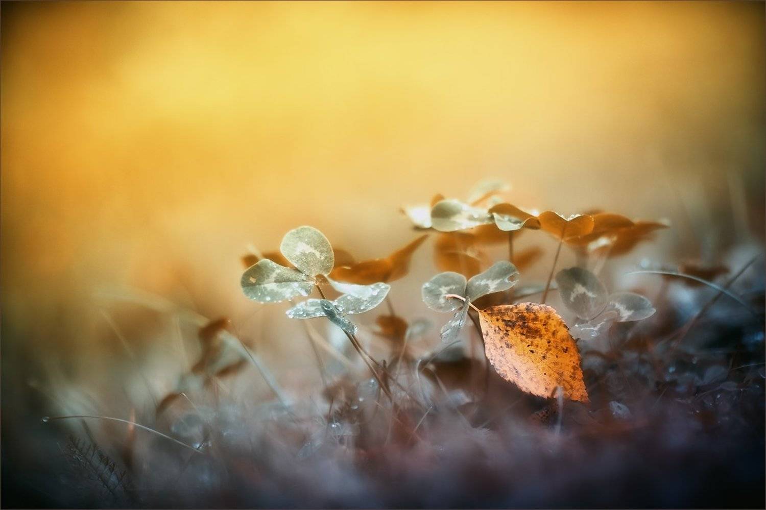 , Суханов Дмитрий